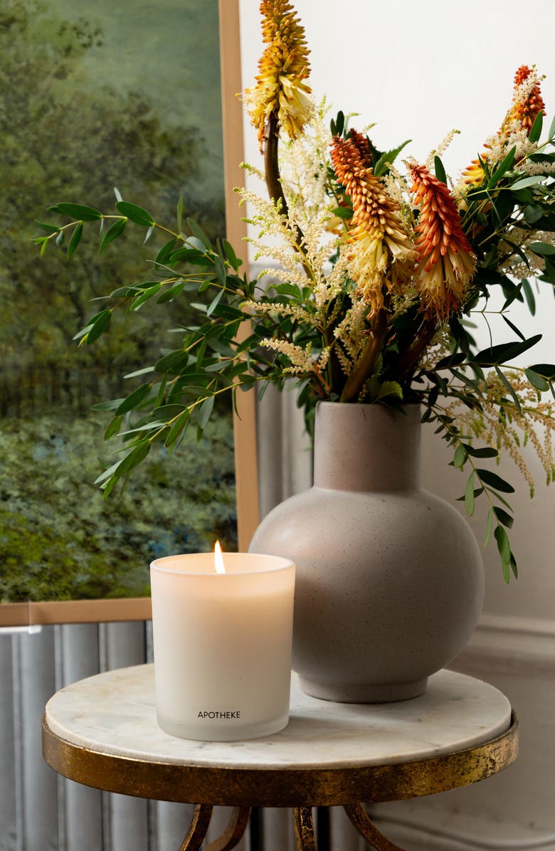 APOTHEKE Sea Salt Grapefruit & White Vetiver Scented Candle Set (Nordstrom Exclusive) USD $88 Value, Alternate, color,