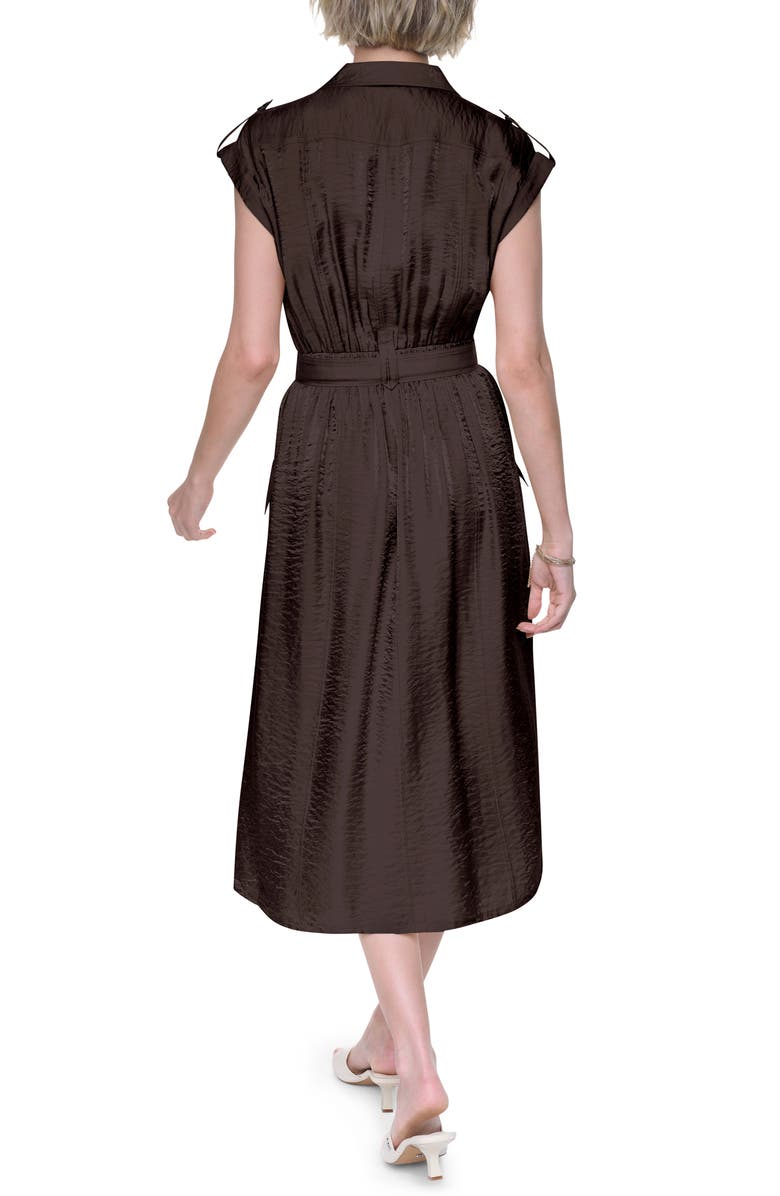 DKNY Belted Shirtdress, Alternate, color, Tobacco