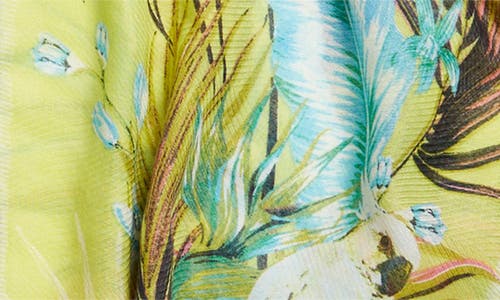 VINCE CAMUTO VINCE CAMUTO PARROT TOPPER & HAT SET