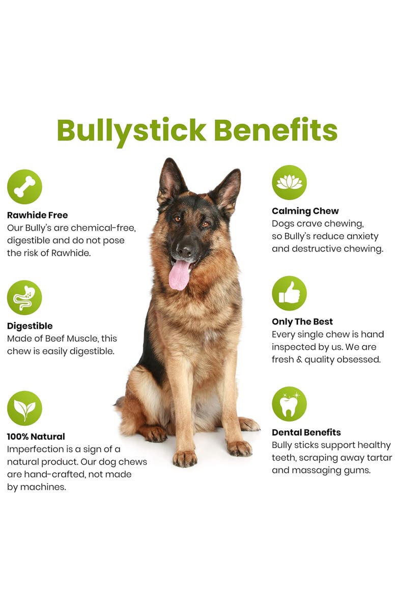 Sancho & Lola's Closet 6 Inch Thin Bully Sticks 10 Count Dog Treat, Alternate, color, Multicolored