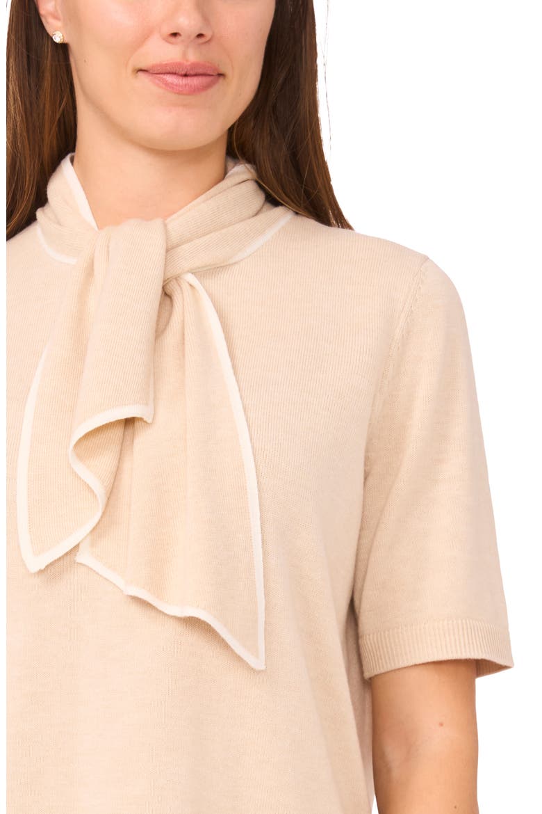 Tipped Tie Neck Sweater, Alternate, color, FRENCH TAUPE