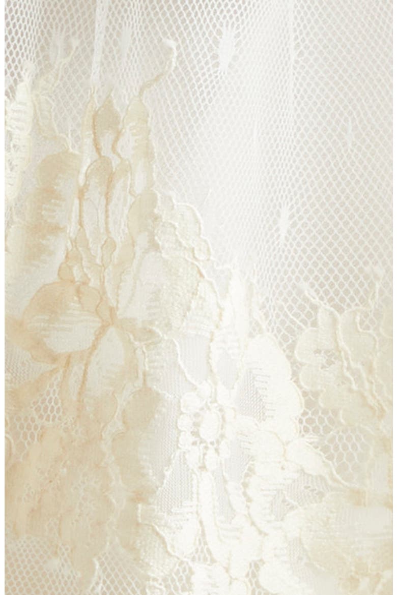 Missy Embroidered Floral Lace Mesh Top, Alternate, color, GARDENIA