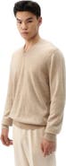 Gobi Cashmere V-Neck Sweater