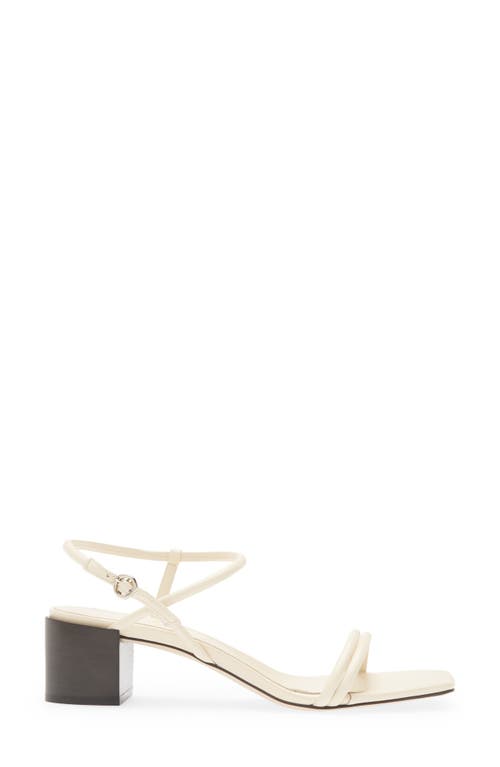 Aeyde Estelle Ankle Strap Sandal In Creamy