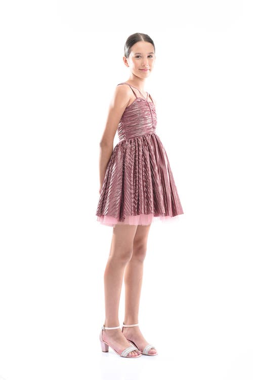 Tulleen Gianotta Dress In Rose