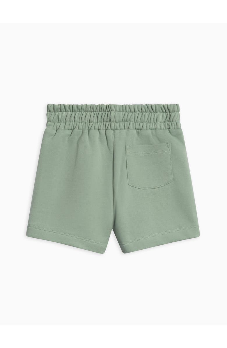Colored Organics Chris Organic French Terry Shorts, Alternate, color, Jade