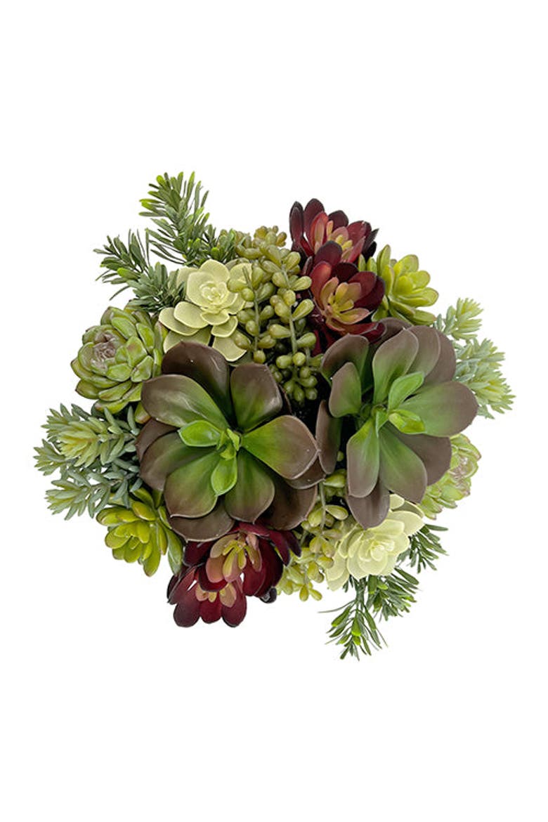 12" Succulent Arrangement, Alternate, color, White