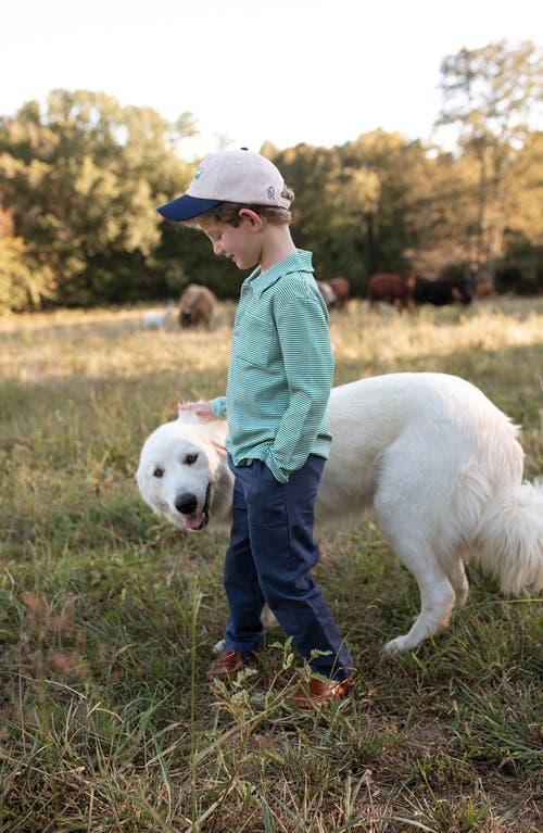 Little Paper Kids Reid Long Sleeve Polo In Green