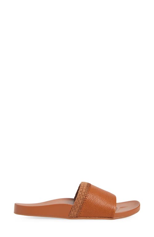 Olukai Pākea Leather Slide Sandal In Brown