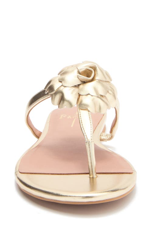 Linea Paolo Laurel Flower Sandal