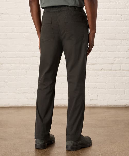 Pact Organic Cotton Daily Twill Midweight Pant In Oak