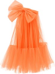 Tulleen Maggi Dress