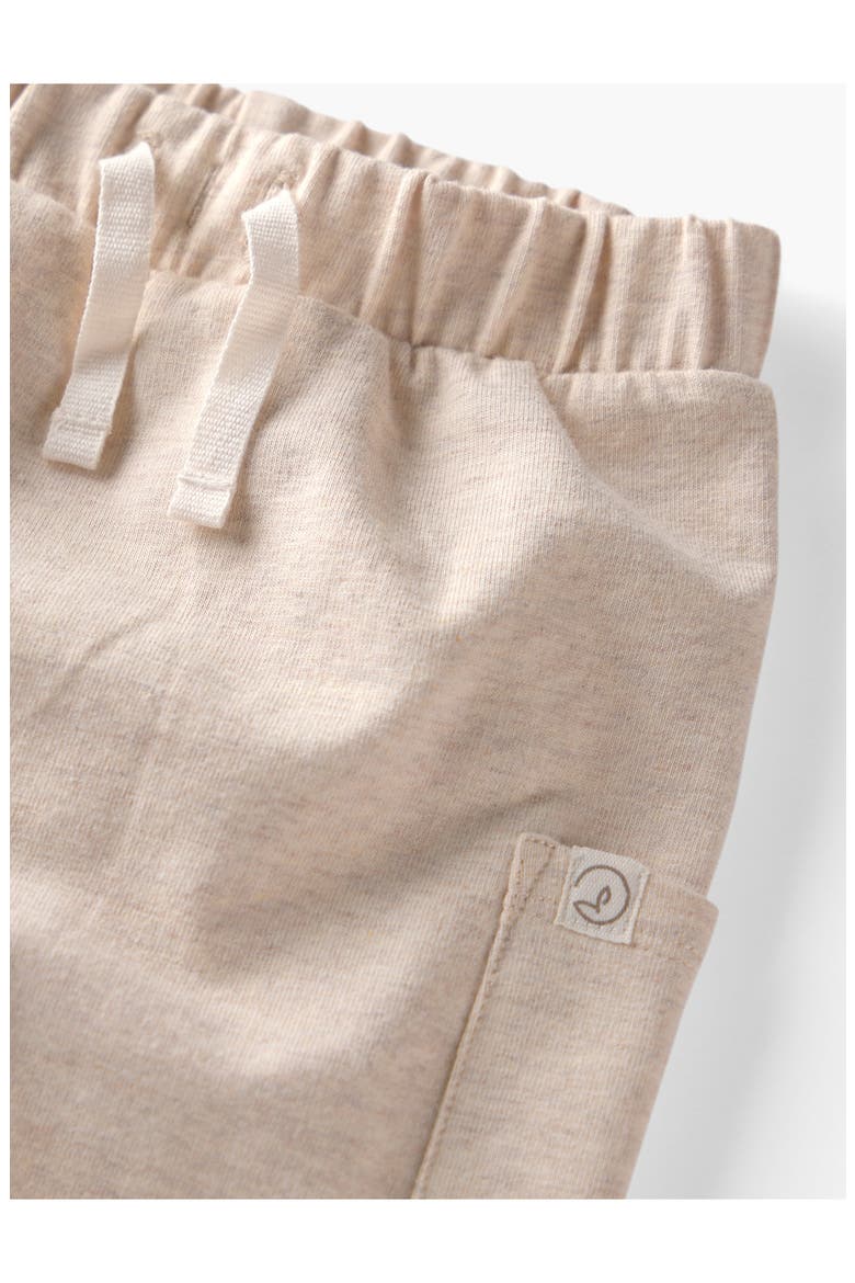 Kids' 2-Pack Organic Cotton Blend Cargo Pants, Alternate, color, BROWN CREAM