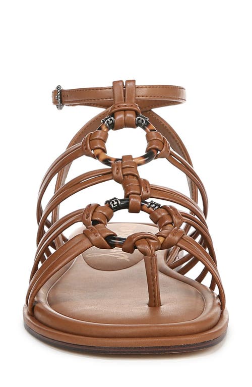 SAM EDELMAN SAM EDELMAN RAYE GLADIATOR SANDAL
