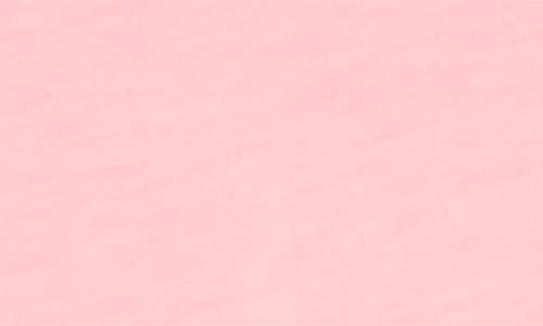 Rag & Bone Two-tone Palm Graphic Tee In Pink