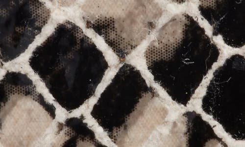 Nordstrom Katie Snakeskin Embossed Belt