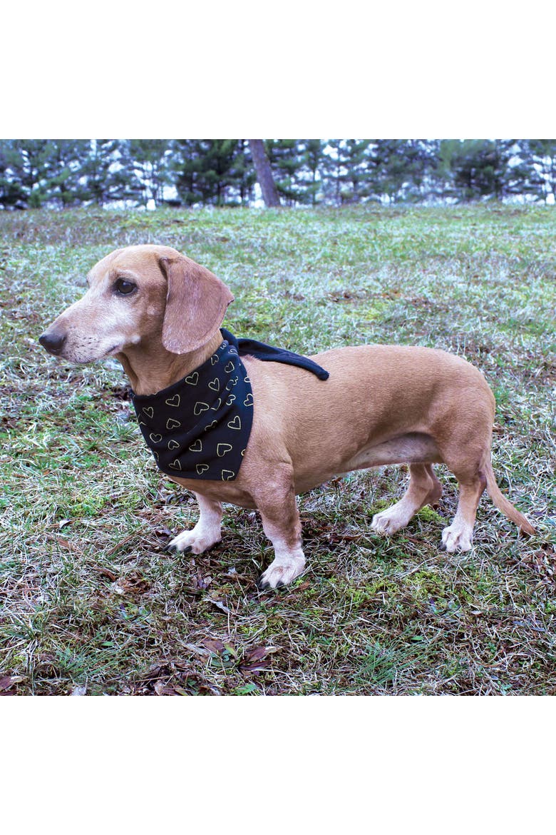 Reversible Pet Dog and Cat Bandana Bibs 2pk, Alternate, color, Houndstooth Hearts
