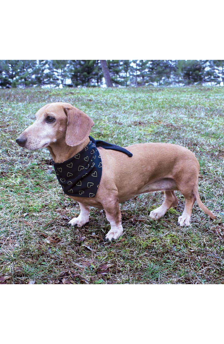 Luvable Friends Reversible Pet Dog and Cat Bandana Bibs 2pk, Alternate, color, Leopard Hearts