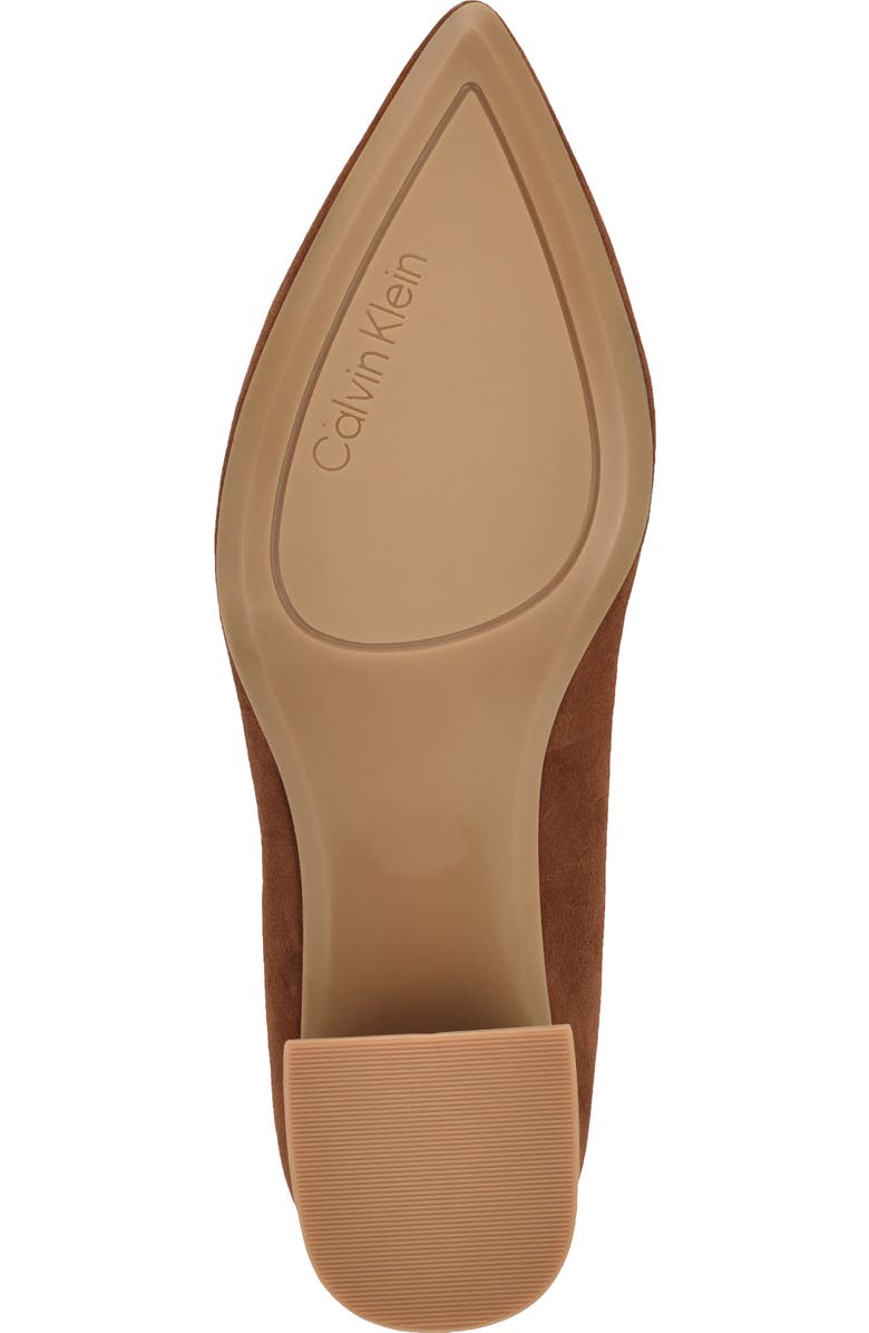Calvin Klein Lenott Pointed Toe Pump, Alternate, color, Light Natural 111