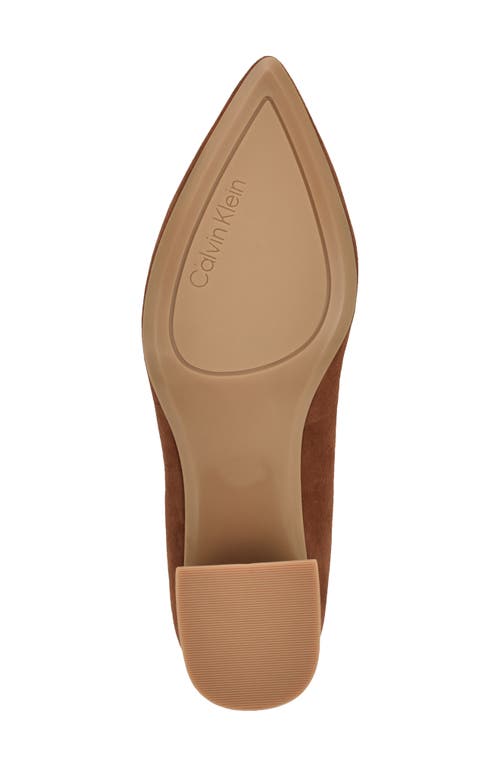 Calvin Klein Lenott Pointed Toe Pump In Brown