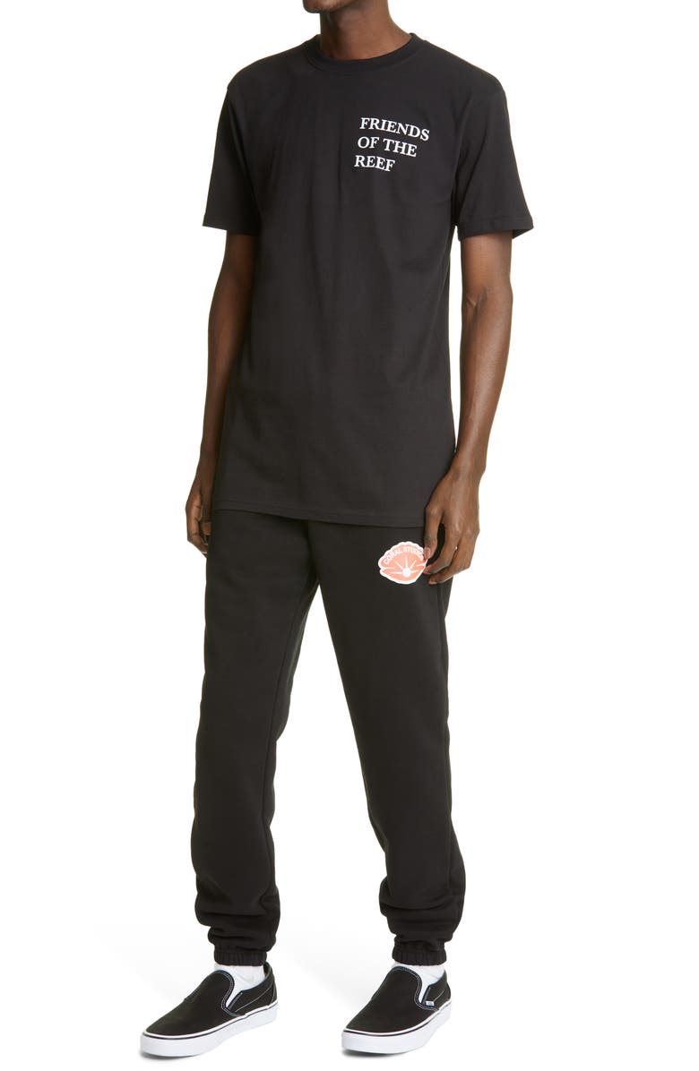 Coral Studios Friends of the Reef Graphic Tee, Alternate, color,