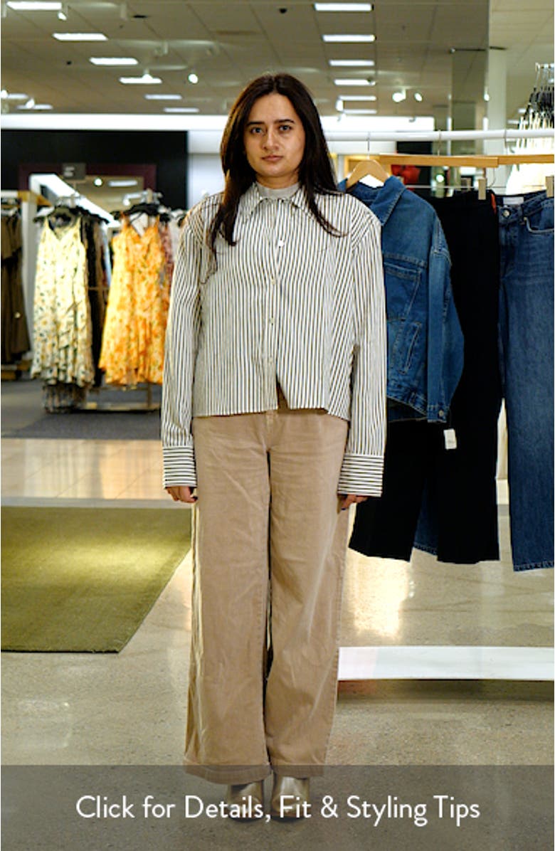 Till Stripe Crop Shirt, sales video thumbnail