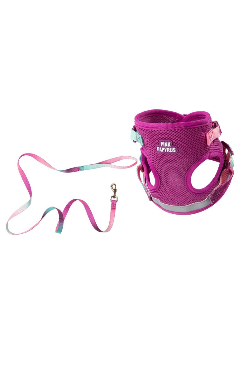 Joana Cat Harness and Leash Set, Main, color, Joana