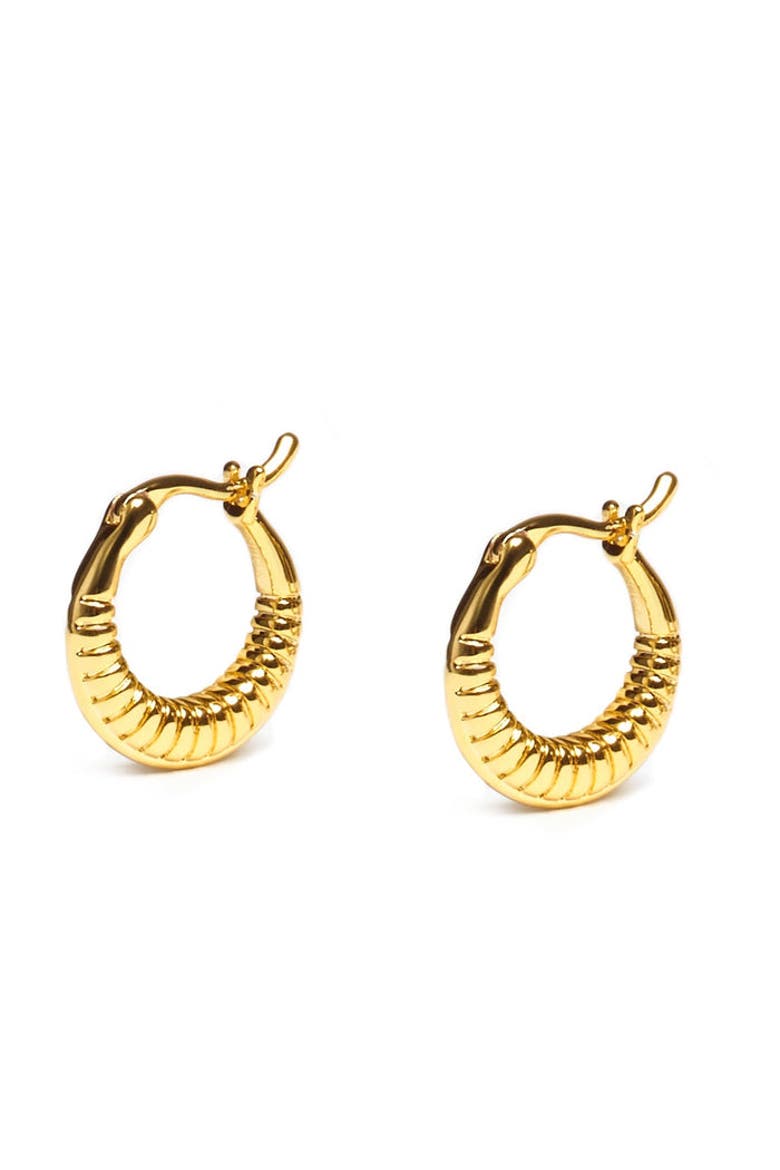 Timeless Mini Hoops, Main, color, Yellow Gold