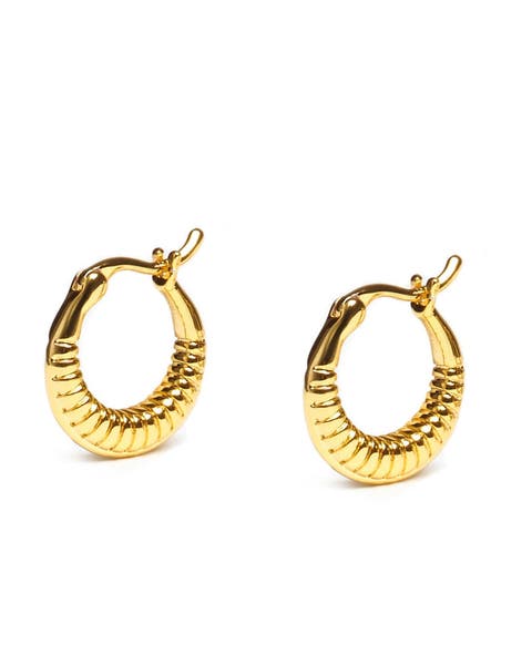 Timeless Mini Hoops