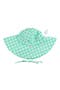 selected Spring Green Gingham