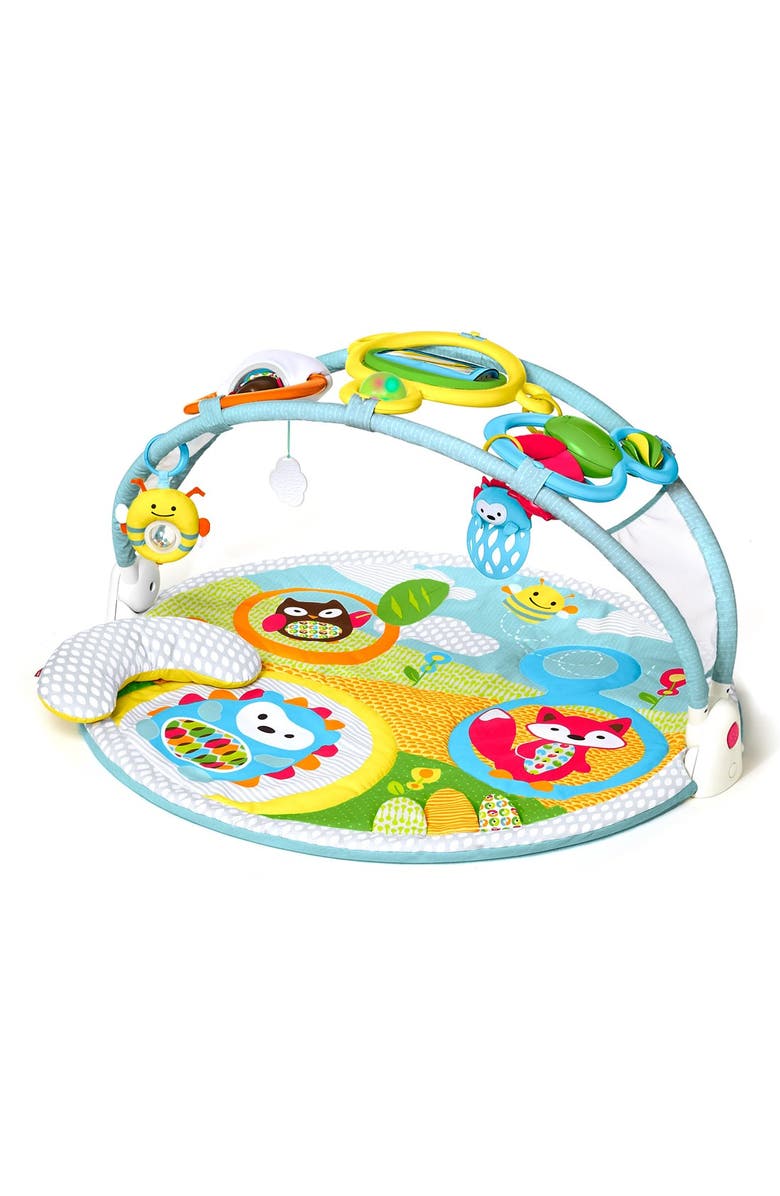 Skip Hop 'Amazing Arch' Activity Gym, Main, color, 
