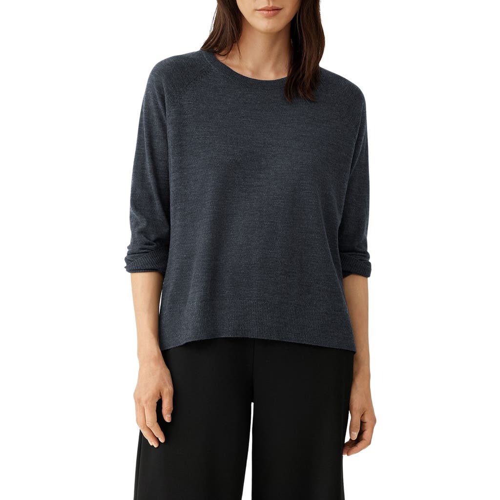 Eileen Fisher Raglan Sleeve Merino Wool Pullover In Black