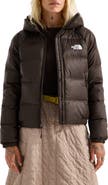 The North Face Hydrenalite Hooded Down Jacket