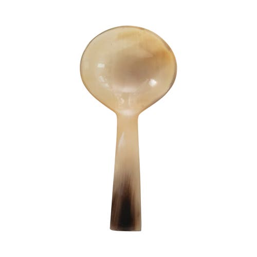 Storied Home Horn Spoon In Brown