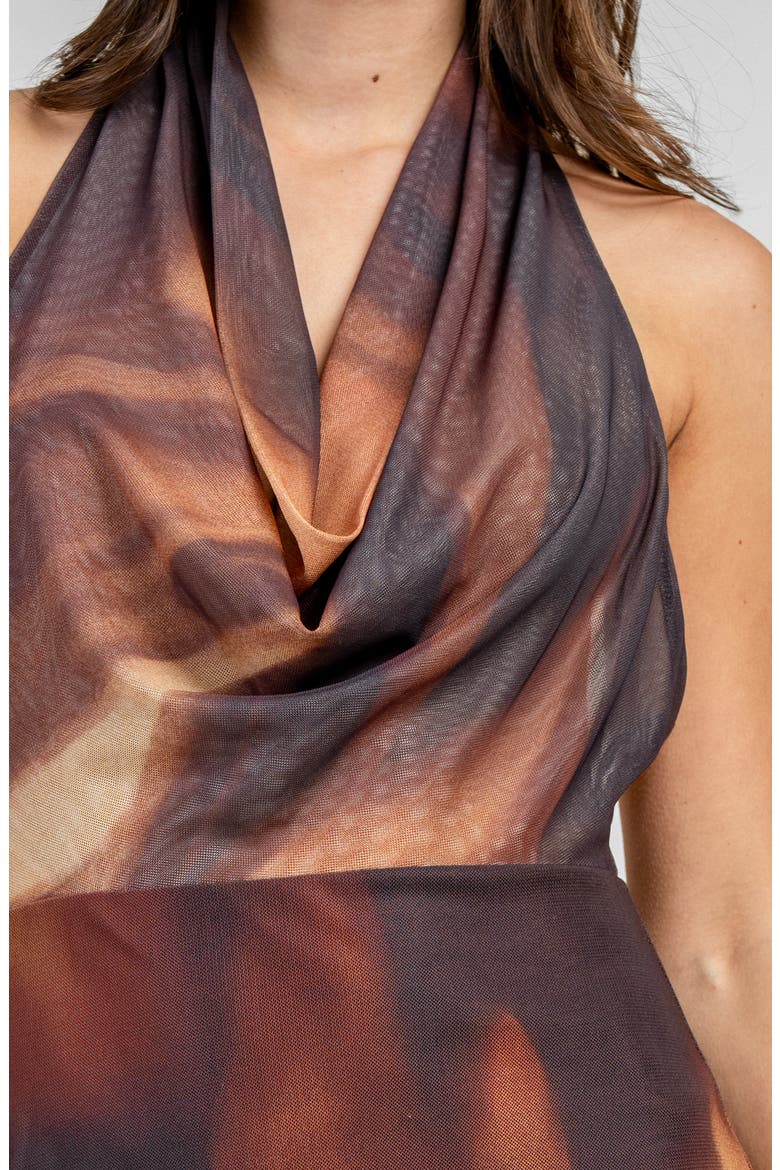 Cowl Neck Mesh Maxi Dress, Alternate, color, GOLDEN BROWN