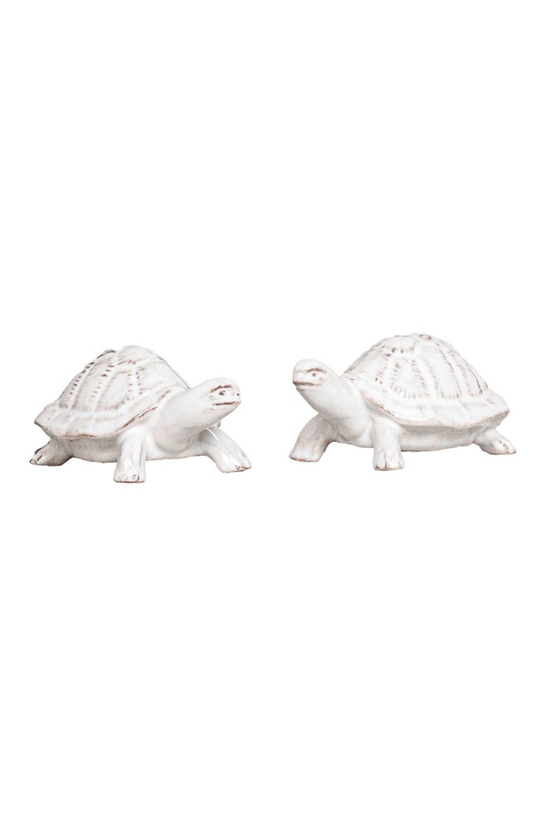Clever Creatures Turtle Salt & Pepper Shakers Set, Main, color, WHITEWASH