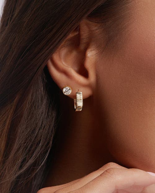 Zarux Golden Halo Hoops 4mm In Gold