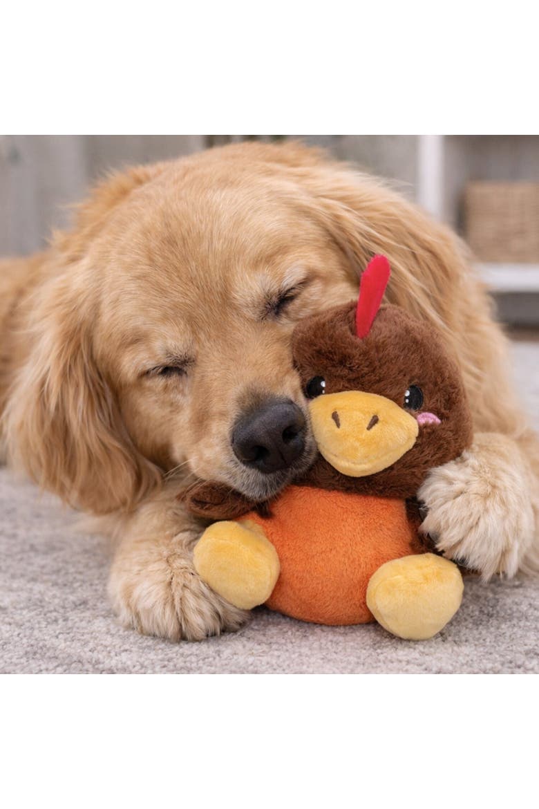 Plush Dog Toy, Alternate, color, Multicolored