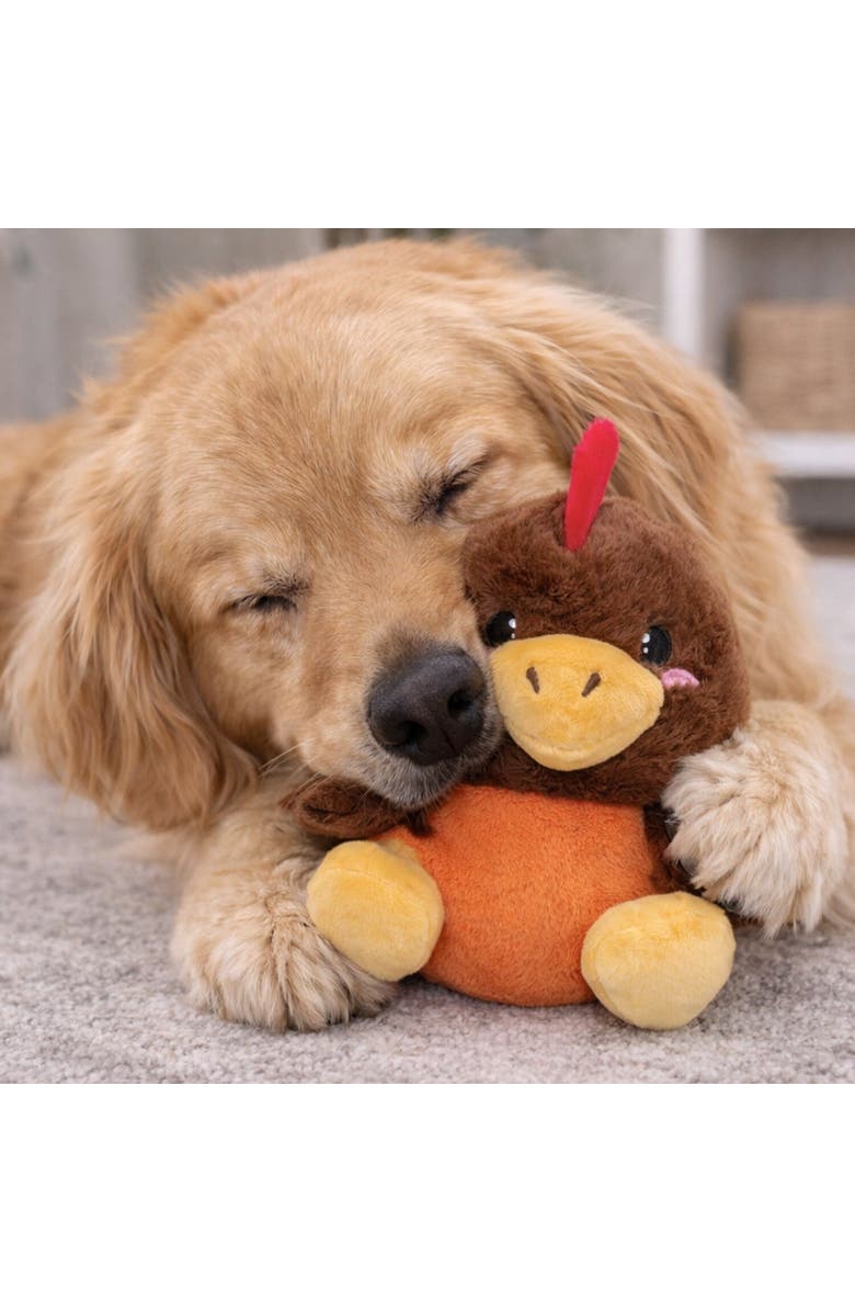 SnugArooz Plush Dog Toy, Alternate, color, Multicolored