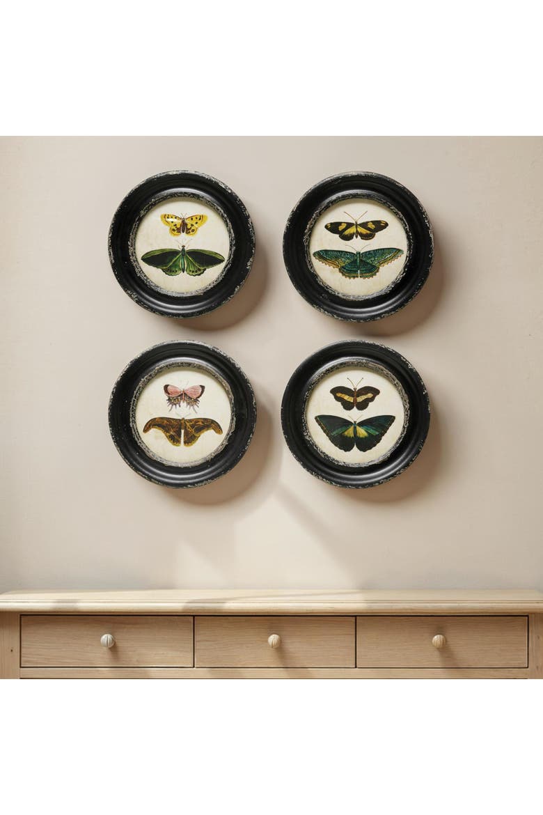 Moth and Butterfly Framed Wall Decor, Alternate, color, Black