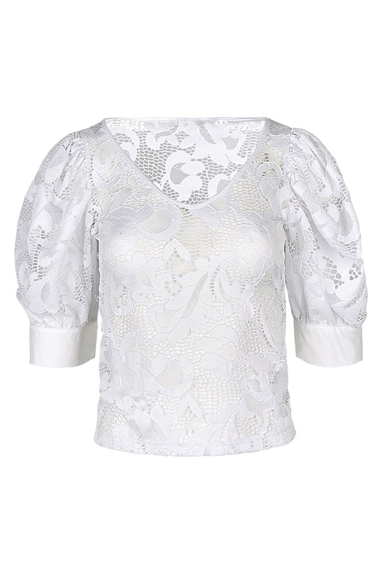 Women's  Katia White V-Neck Top With Sheer Mesh Sleeves, Main, color, White