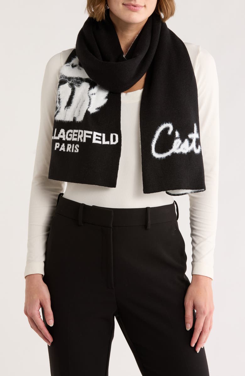 KARL LAGERFELD PARIS C'est Moi Choupette Scarf, Main, color,