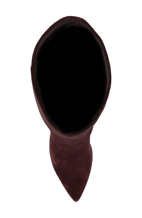 Nine West Richy Pointed Toe Knee High Boot