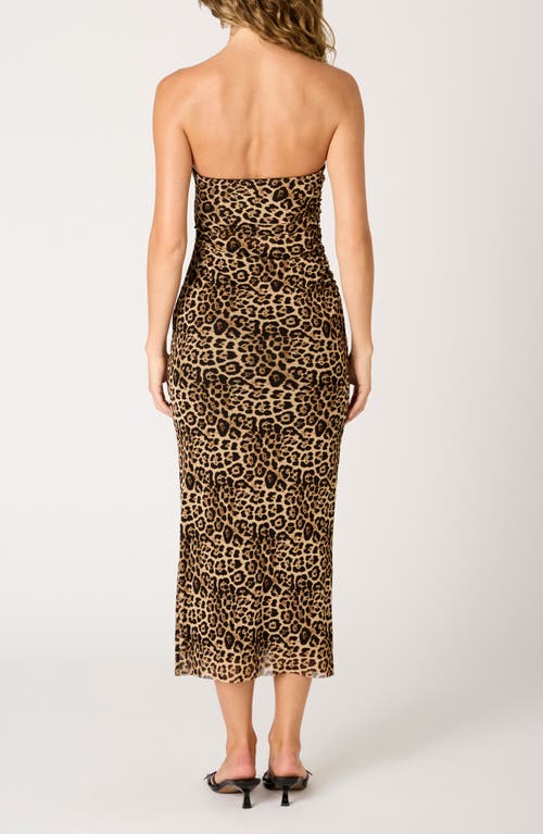 Nia Rowa Strapless Slim Midi Dress In Brown