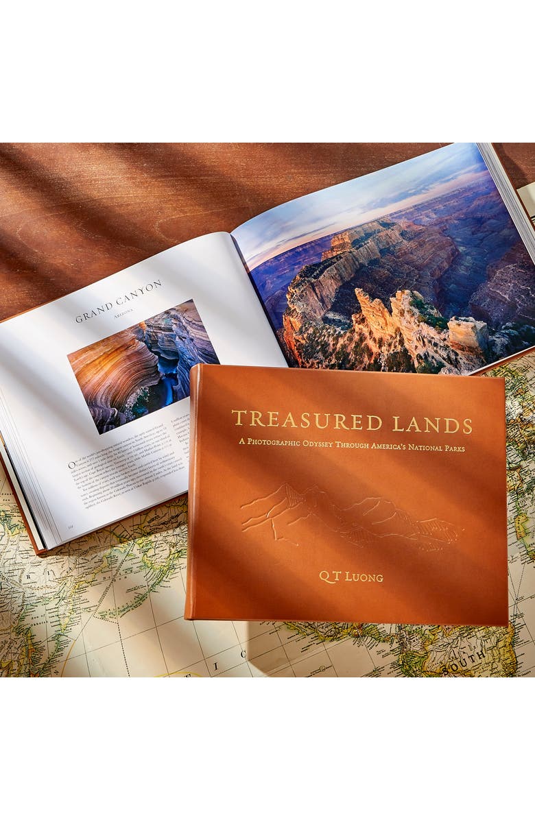 Graphic Image Treasured Lands Leather Edition, Alternate, color, Tan