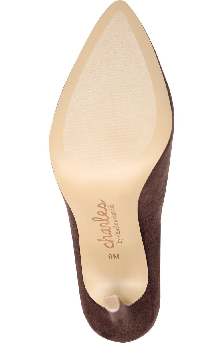 Charles by Charles David Pact Pointed Toe Pump, Alternate, color,