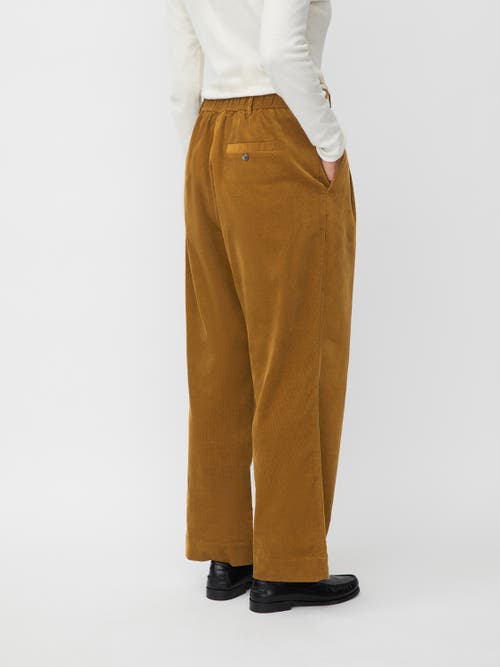Masai Copenhagen Maperli Velvet Cropped Pants In Brown
