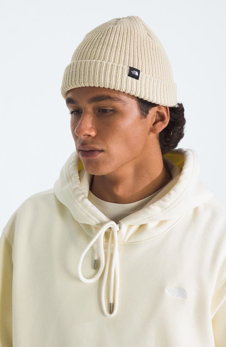The North Face Fisherman Beanie, Alternate, color, Gravel