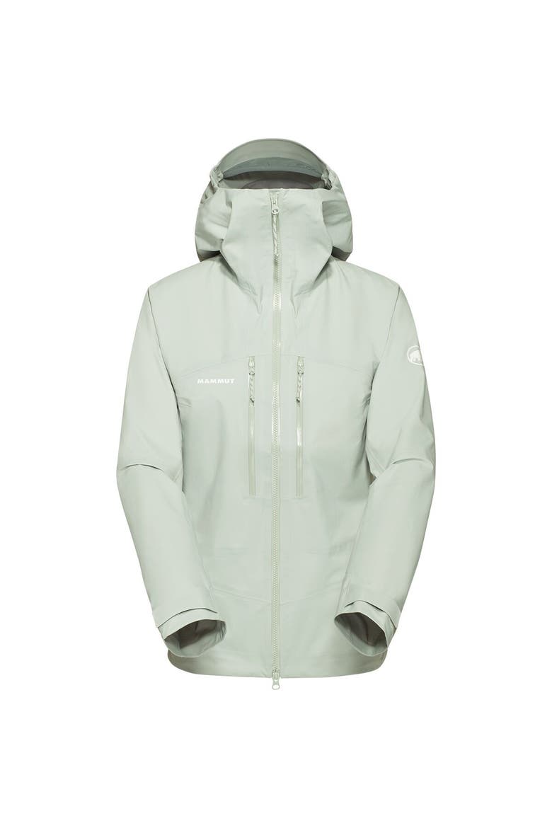 Taiss Hs Hooded Jacket - Women's, Alternate, color, Silver Sage