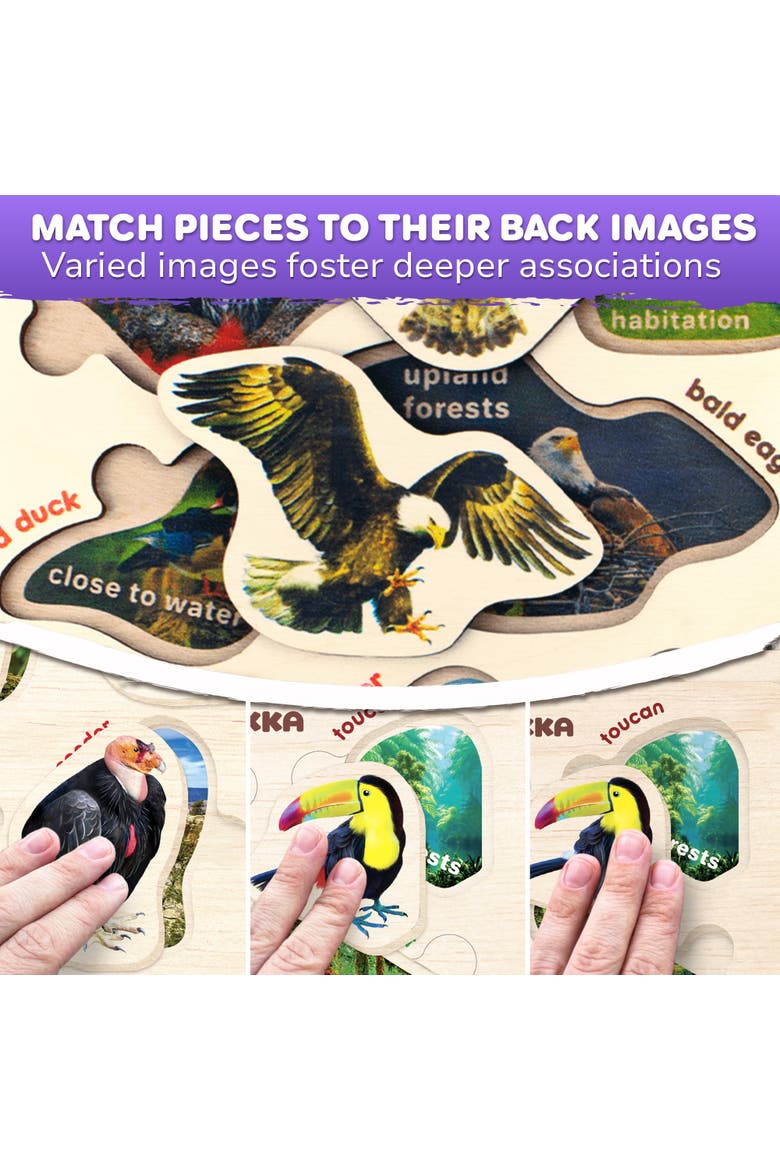 3xSET Montessori Wooden Puzzles for Toddlers, Alternate, color, Insects, arctic animals, birds